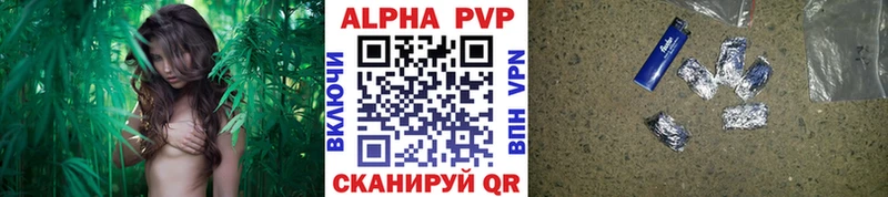 A-PVP СК КРИС Смоленск