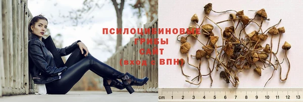 первитин Богданович