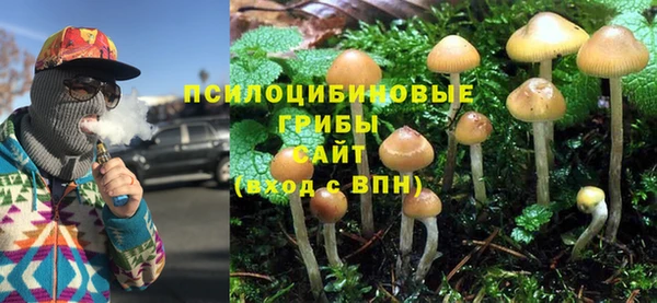 первитин Богданович