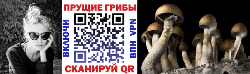 Псилоцибиновые грибы мухоморы  Смоленск 